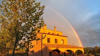 Cata de vinos y visita guiada en Clos Mesorah y La Saltadora