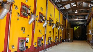 Besuchen Sie Romulus