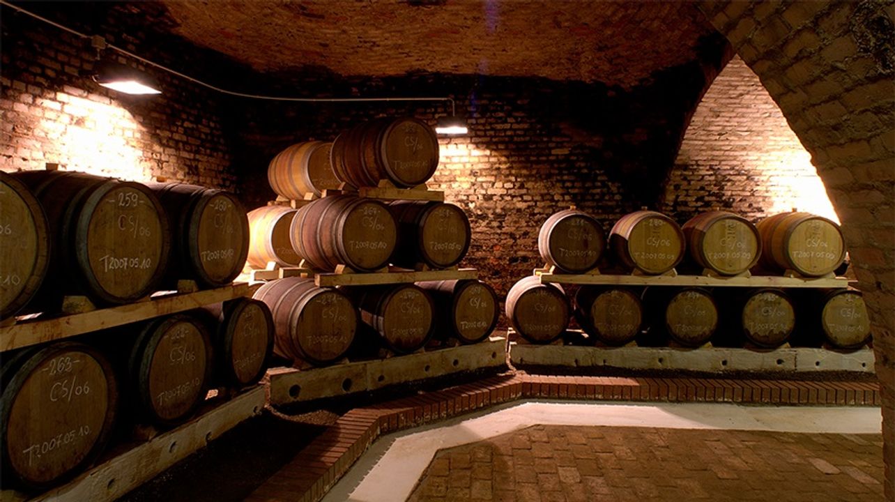 Weinprobe und Besichtigung im Csányi Pincészet