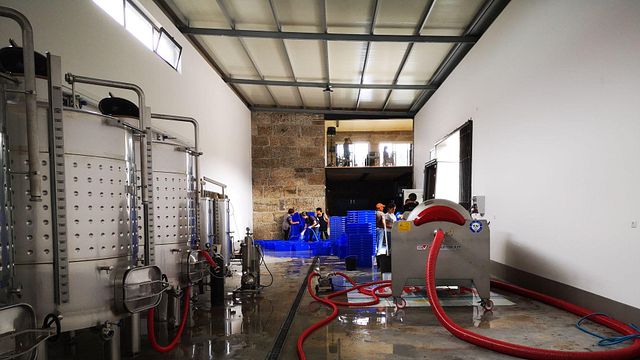 Cata de vinos clásicos y burbujas con historia en 100Igual