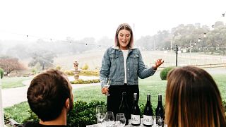 Wine Tasting and Tour at Rob Dolan Wines