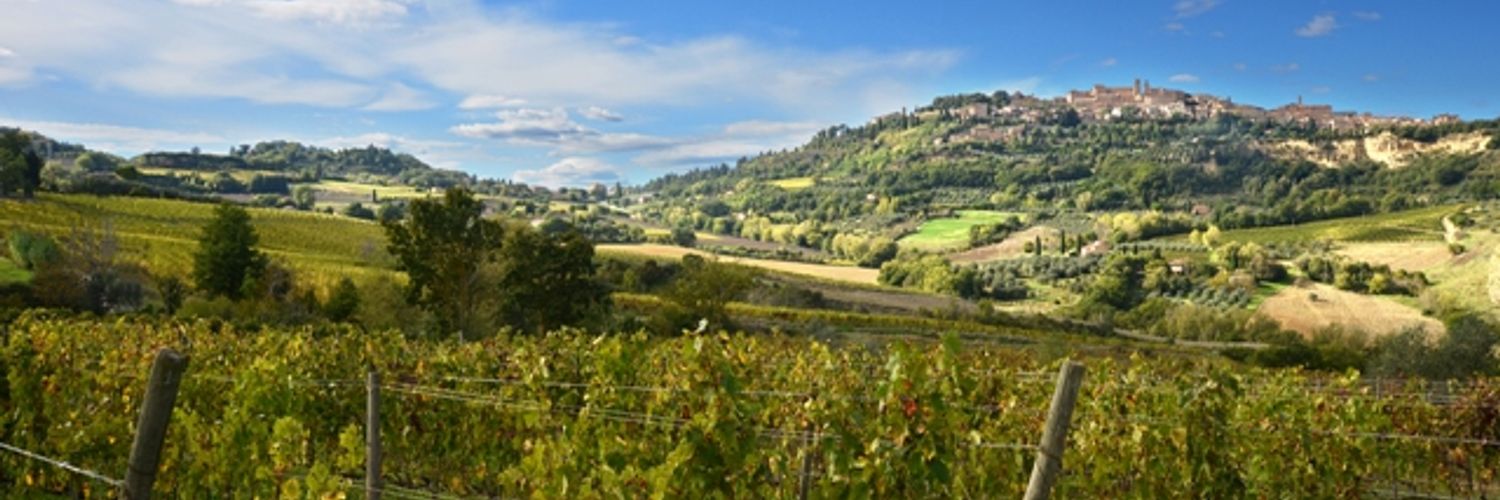 salcheto-vineyard-near-winery