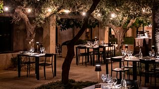Esperienza enologica completa alle Cantine De Gregorio