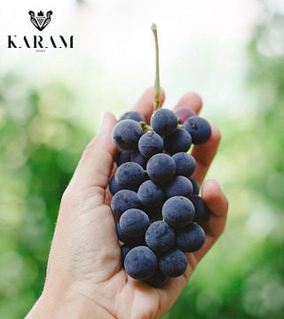 Karam Wines