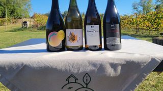 "Casa Piana" wine experience at Podere Casa Piana in Bologna's countryside
