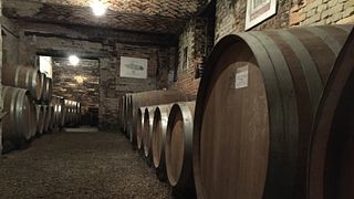 Wine tasting and tour at Francomondo Di Mondo Valerio