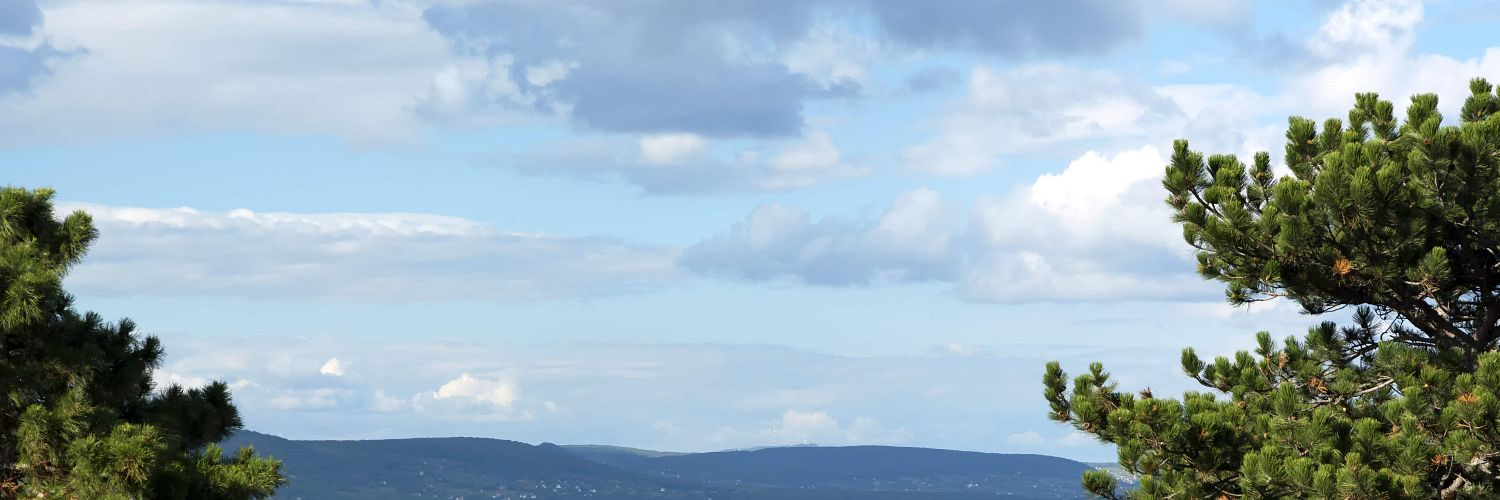 Balatonboglar