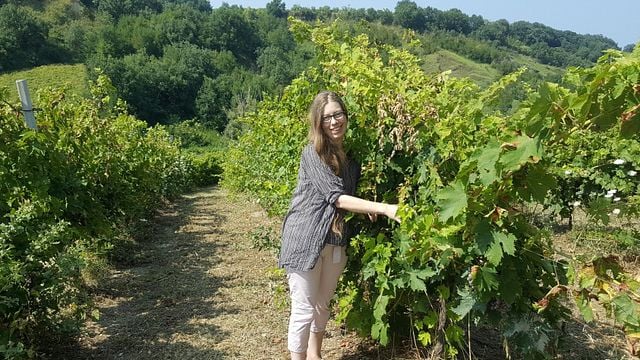 Katarina, your guide through the Italian wine world