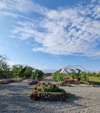 The House of Alluria Wines