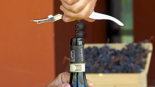 Vertical de Amarone
