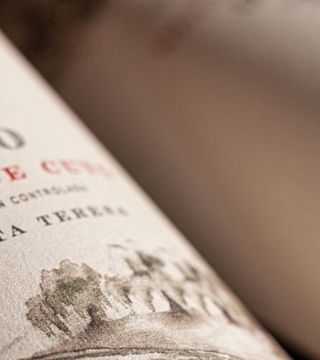 Cata de vinos y visita guiada de la familia Bressia