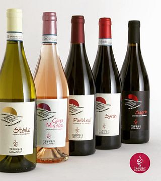 Taste Piedmont Wines at Terre del Creario