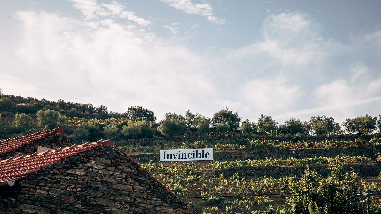 Degustazione di vini e visita alla cantina.
