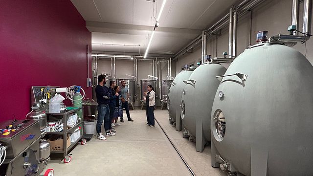 Excursion d'une journée exclusive autour du Lambrusco au départ de Florence
