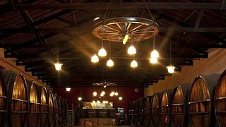 Dégustation et visite des caves Bodegas Baudron