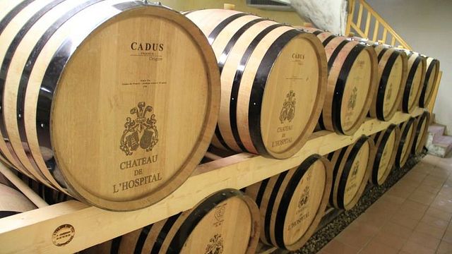 Dégustation de vins et visite du Château De L'hospital