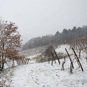 Alsace Wine Retreat at Domaine Bott-Geyl