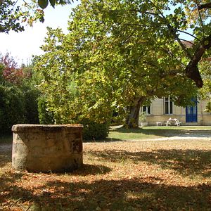 Bed & Breakfast no meio de um vinhedo orgânico | Château Monichot
