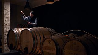 Weinprobe und Kellerführung im Weingut BARAKA