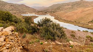 Barca e tramonto nella valle del Douro - Quinta da Vineadouro