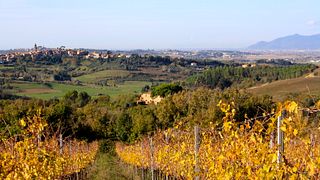 Cantina Giuliano: A Taste of Tuscany