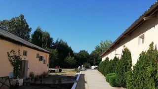 Borovitza Winery