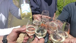 Wine Tasting and Tour at Domäne Vincendeau