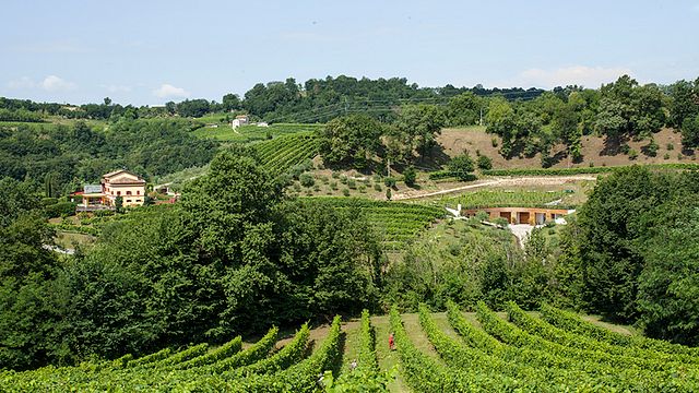Tenuta Zago Gasparini