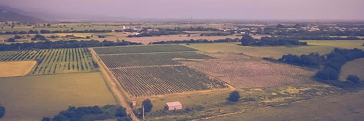 Vineyard-inavarde-wines