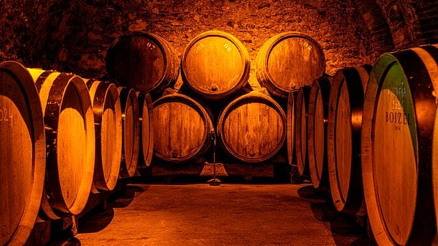 Trésor - Visita privada a la bodega y degustación