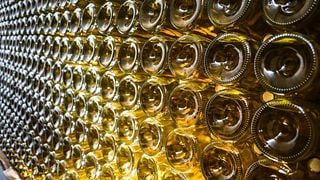 Cata de vinos y tour en Quinta dos Penassais