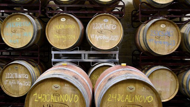 Esperienza premium con vino e tapas - Quinta João Clara 