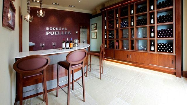 Rioja Vineyard Tour & Wine Tasting at Bodegas Puelles
