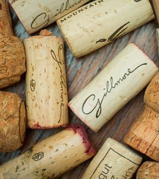 Degustação de vinhos e tour na vinícola Gillmore