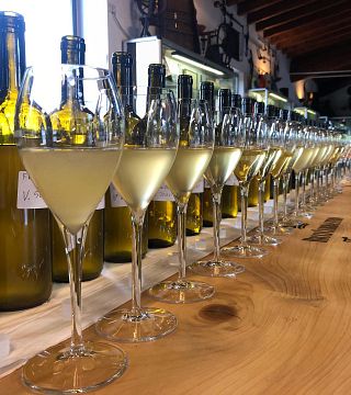 Lombardy's Finest: Franciacorta Wine Tour & Tasting at Ricci Curbastro
