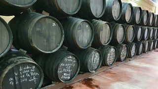Wine Tasting and Tour at Bodegas Virgen De La Oliva