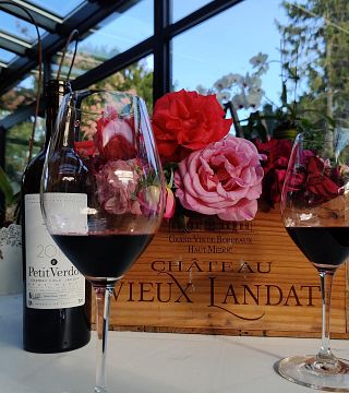 Dégustation et visite de vins au Château Vieux Landat