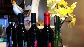Degustazione di vini e tour popolari alla Bodega La Setera