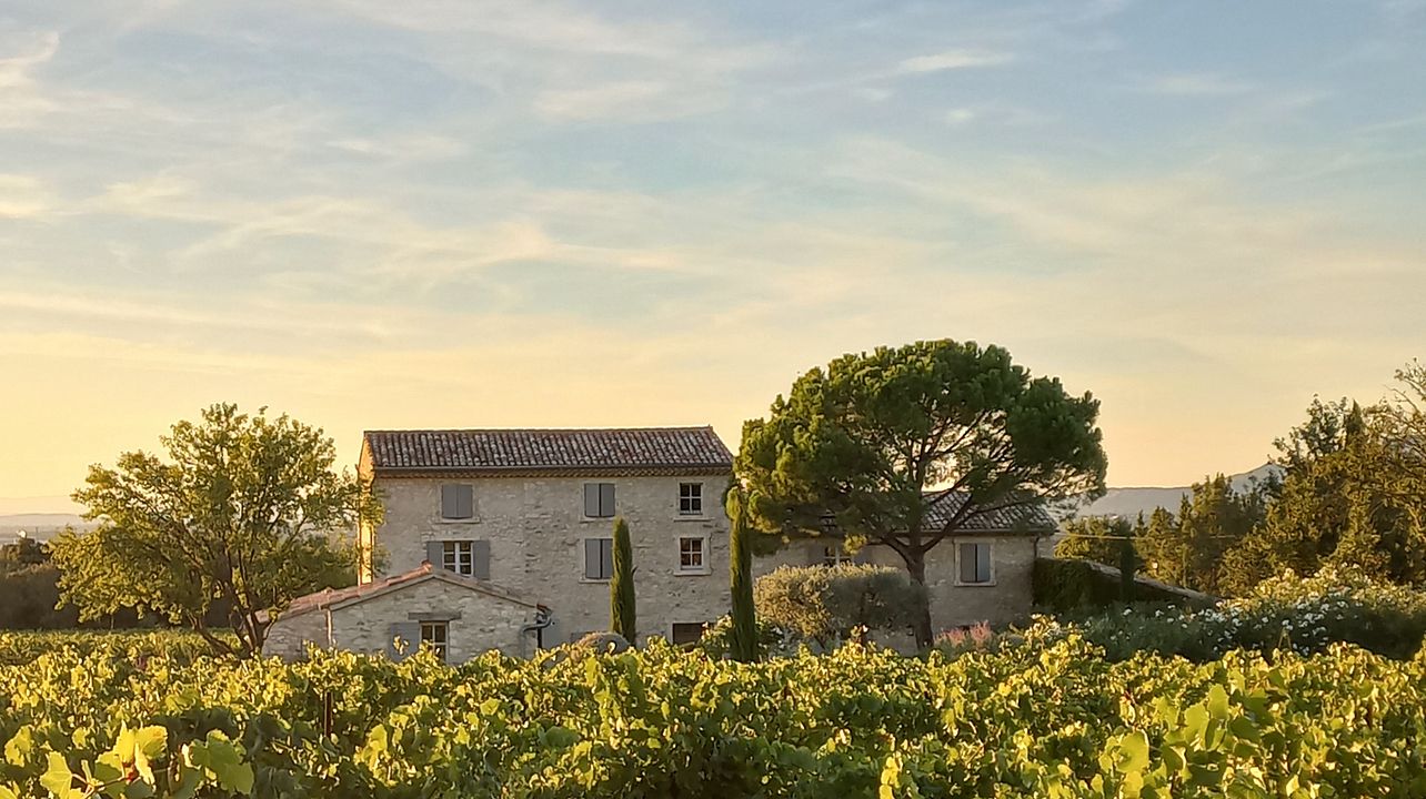 Domaine du Chat Blanc