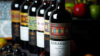 Weintour und Weinprobe im Weingut Goygol