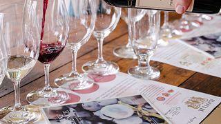 Vini Tulloch - Esperienza di degustazione di vini di Hunter Heroes con formaggi e salumi locali