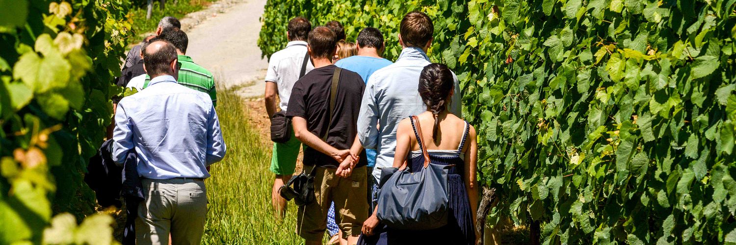 hiruzta-bodega-visitors