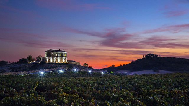 Degustación de variedades en Tenute Lombardo