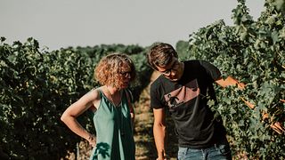 Domaine Gayrard