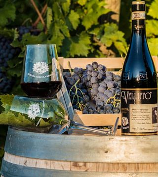 Weintour und Verkostung mit lokalen Snacks in der Cantina Meroni