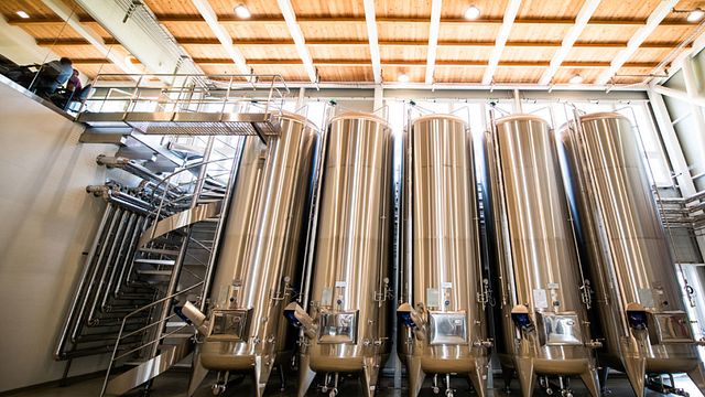 Degustação de vinhos e tour no Il Borghetto-Ventiventi