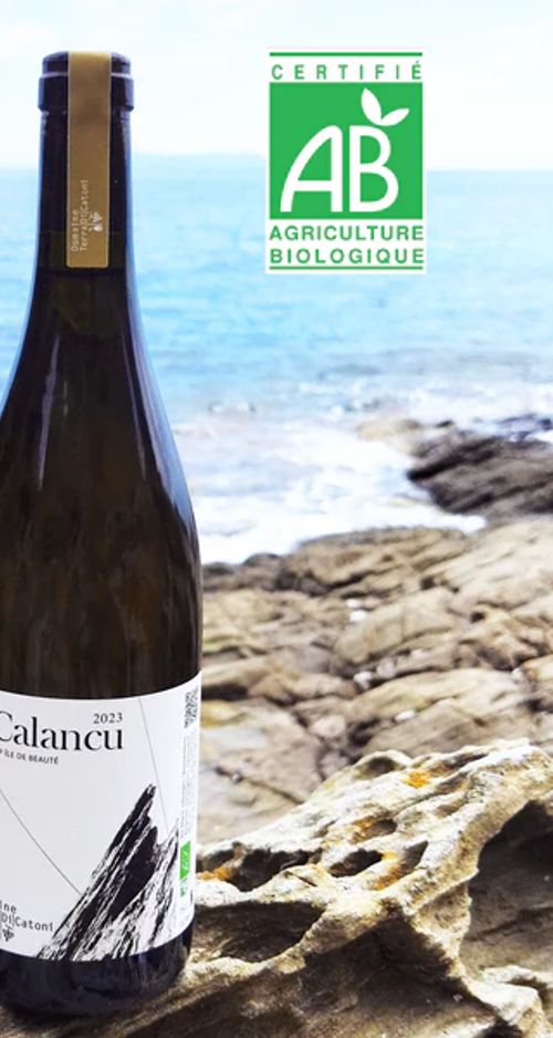 Calancu 2024