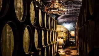 Degustazione e tour di 3 vini Super Premium presso la casa padronale José Maria Da Fonseca