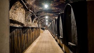 Vinag Wine Cellar