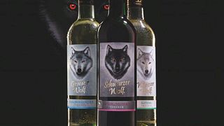 Dégustations de vins et visites à la Winzergenossenschaft Wolfenweiler